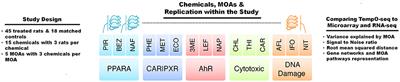 A Comparison of the TempO-Seq S1500+ Platform to RNA-Seq and Microarray Using Rat Liver Mode of Action Samples